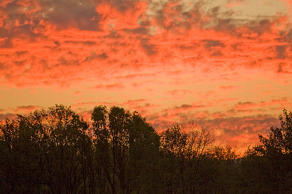 Sunset Ridgefield NWR